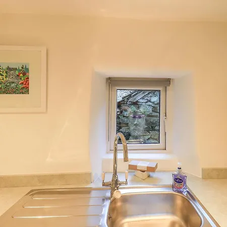 Violet آمبيلسايد