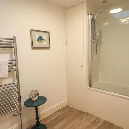 Violet * آمبيلسايد