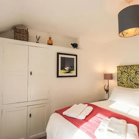 Violet * آمبيلسايد